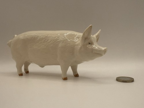 Beswick boar wall - ‘ch.,