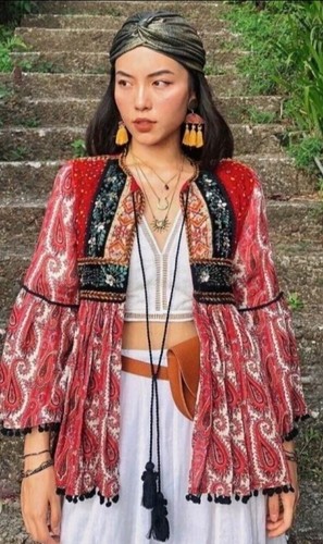 Zara red velvet - velvet, embroidered