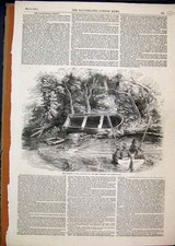 Original Old Antique Print