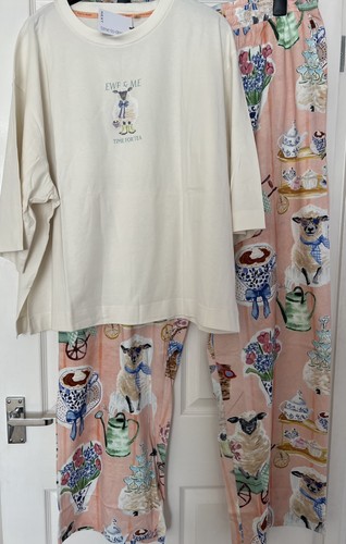 Women next sheep - sheep, ewe