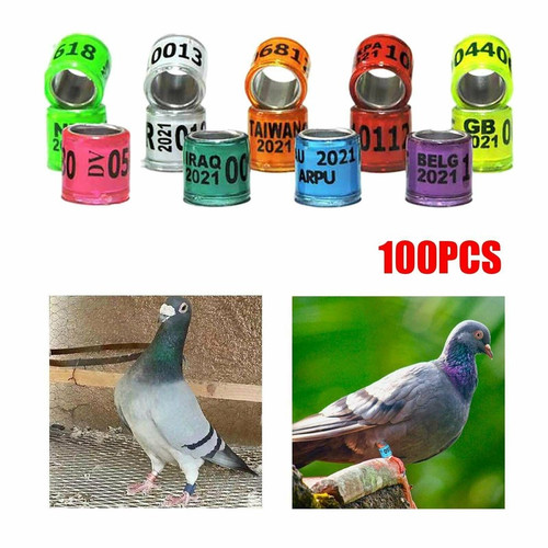100pcs 2026 year - year, aluminum
