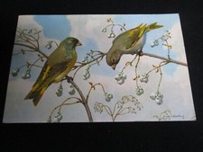 The Greenfinch Vintage Bird