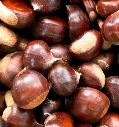 1kg wild sweet chestnuts - 1kg,