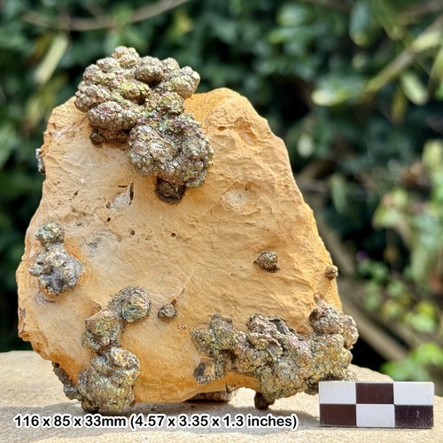 Rare rainbow pyrite supat mine - rainbow,