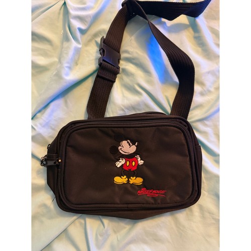 Walt disney world mickey mouse - walt,