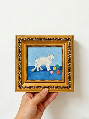 White cat colorful play balls - cat,
