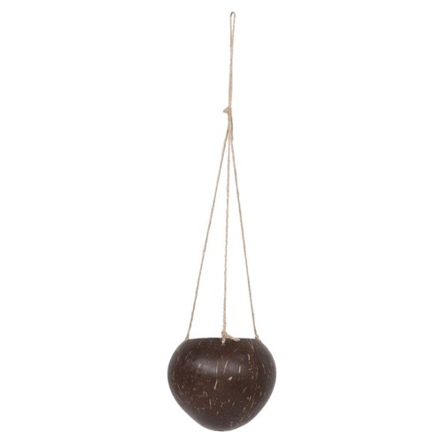 Coconut shell plant pot - shell,