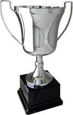 LARGE CLASSIC SILVER HANDLED