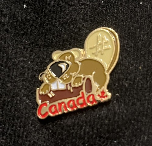 Beaver canada maple leaf - canada,