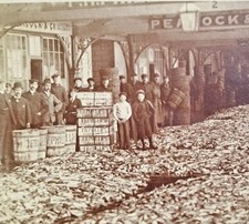 Fish Trawl Market Lowestoft Fishing Occupation FH Phillips RP Real Photo A60