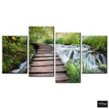 Landscapes Forest Stream   BOX