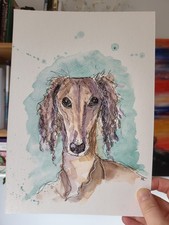 Saluki hound pen and - saluki,