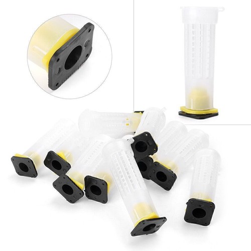 Beekeeping rearing cup - rearing,