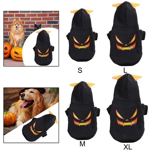 Halloween dog outfit - halloween,