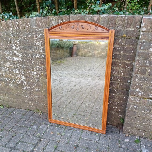 Huge hardwood early 20th - early,