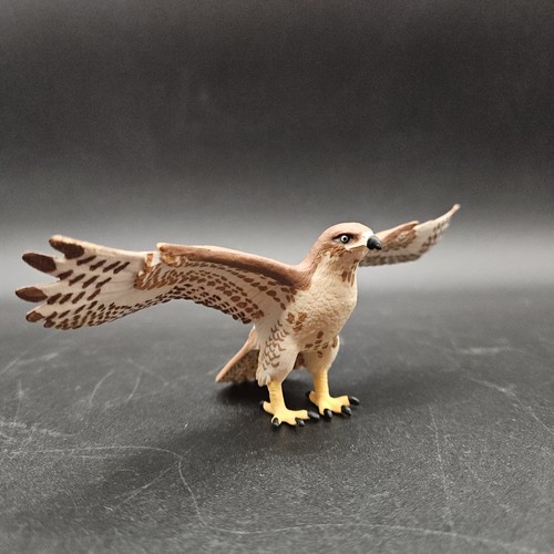Safari red tail hawk - safari, figure