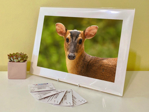 Art print image picture - art,