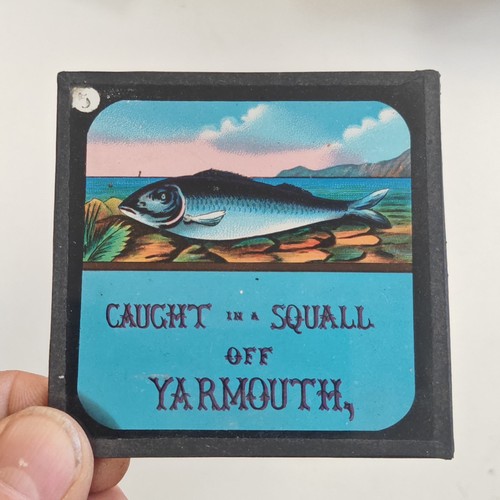 Magic lantern slides caught - lantern,