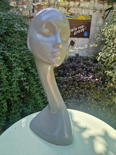 Vintage elegant swan - elegant,