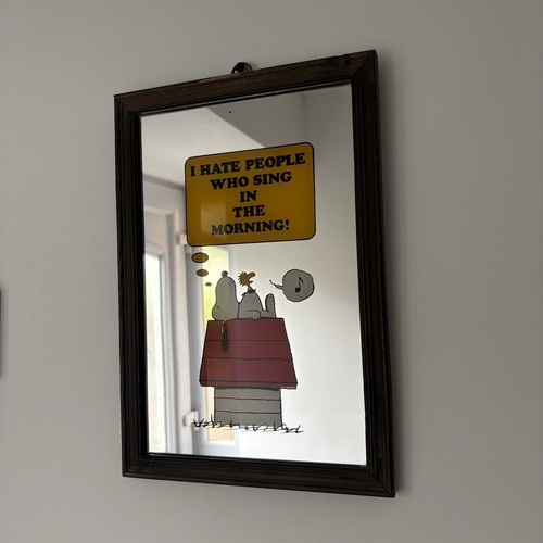 Vintage snoopy mirror hate - snoopy,