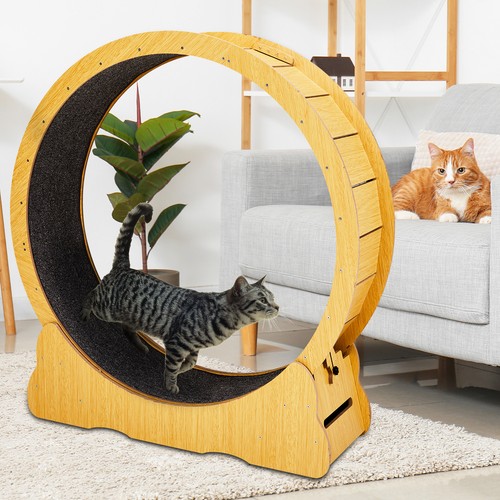 Cat exercise wheel large - wheel, 39.4"