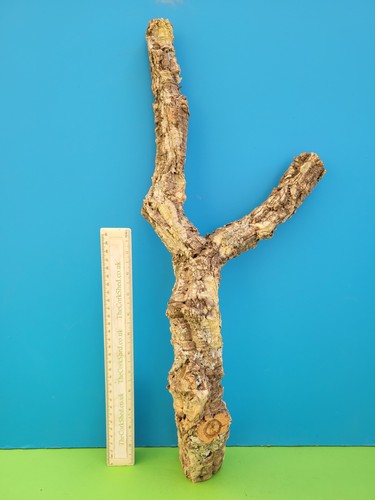 Cork bark branch 55cm snake - 55cm,