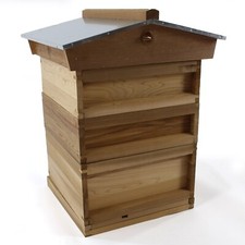 National pine bee hive - hive, starter