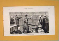 Original Old Antique Print