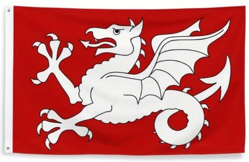 White dragon wyvern - white, of