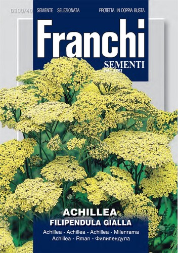 Franchi fdbf 300 - franchi, fdbf_