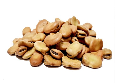 Grand broad beans 500g - broad,