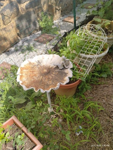Vintage metal garden furniture - metal,