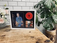 Bruce Springsteen / Born in