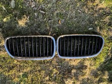F10 F11 Kidney Grills Front