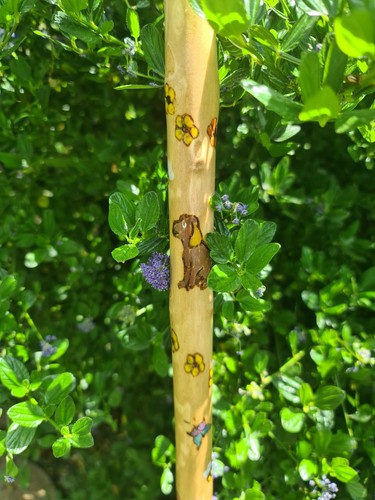Wooden staff walking stick - walking,