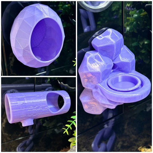 Purple crested gecko set - crested,