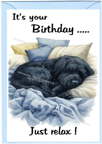 Giant schnauzer dog birthday - giant,