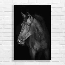 Powerful Chestnut Horse Black