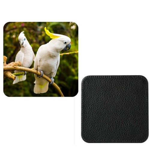 Set white cockatoo - set,