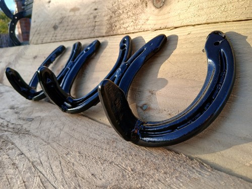 Real horseshoe hooks coat - 3, hooks,
