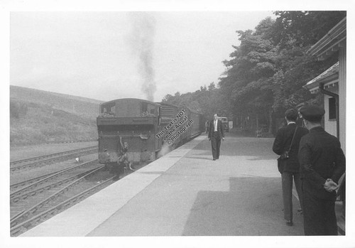 1959 dornoch train station - dornoch,