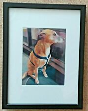LURCHER/CROSS DOG -  FRAMED PHOTO OF ORIGINAL PAINTING - 13" x 17"