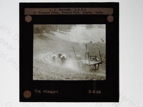Horse drawn wagon - wagon, farm