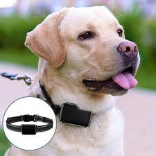 Pet GPS Tracker with