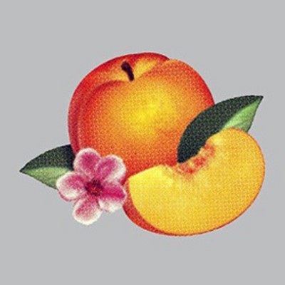 Phoenix bankrupt - phoenix:, bankrupt!