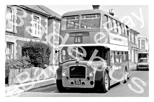 Bus photograph southern vectis - photograph,