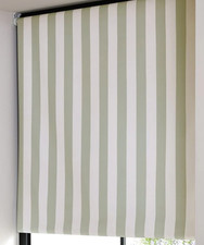 BNIB NEXT Green White Stripe