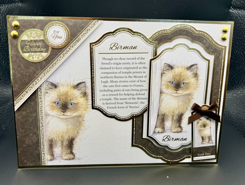 Handmade size burmese cat - handmade, a5