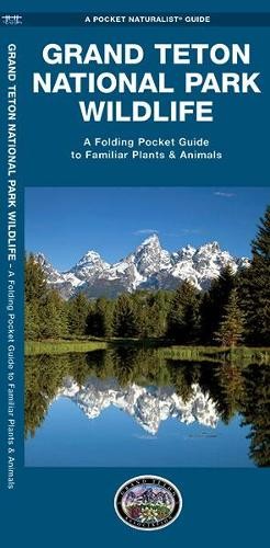 Grand teton national park - national,