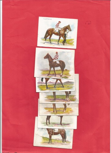 Race horses south - horses,